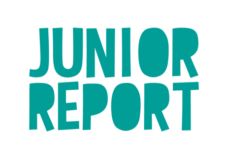 Logo_Junior Report